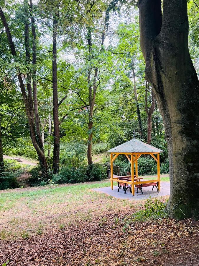 Casa Inn Parkview - Relax & Chill - Perfect For Business Travel, Weekend Trip, Family&Friends, Dogs Lover, Romance, Layover Or Longstay 拉恩河畔林堡 外观 照片